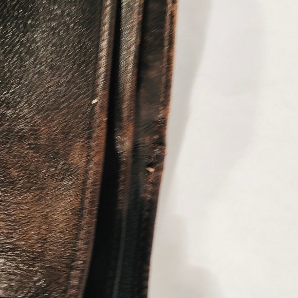 CELINE X ANTICULTURE Wallet Snake Cactus Horse - Picture 12 of 14